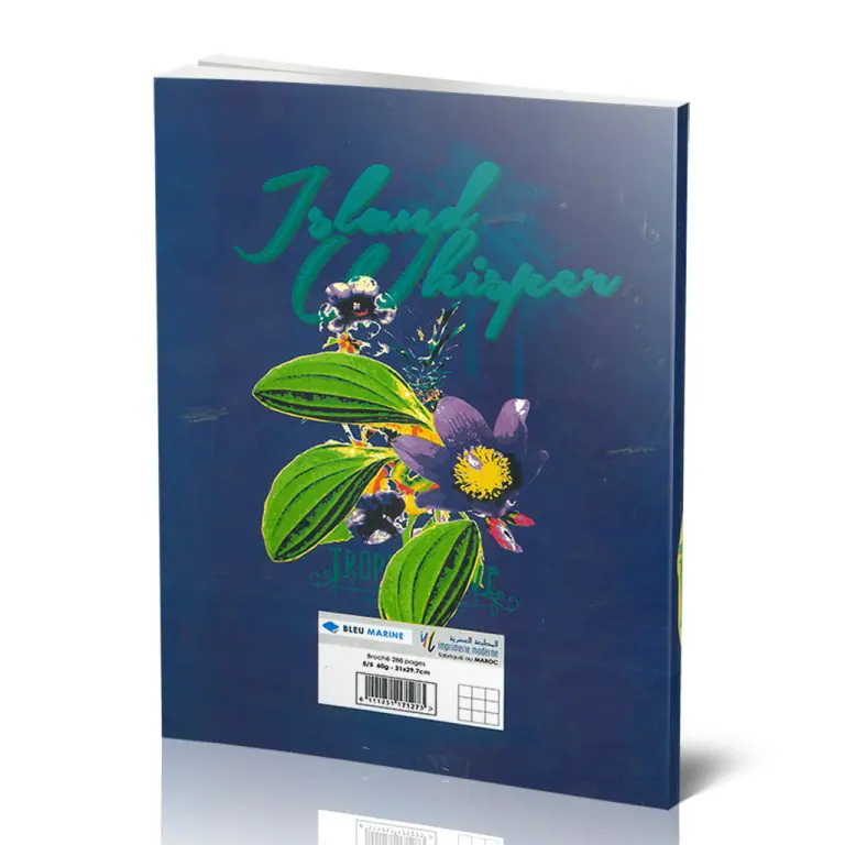 cahier 288 pages 5*5 A4