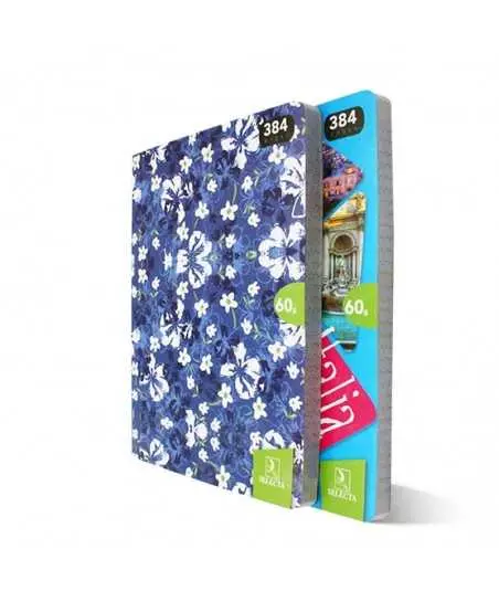 cahier 384 pages A4 5*5