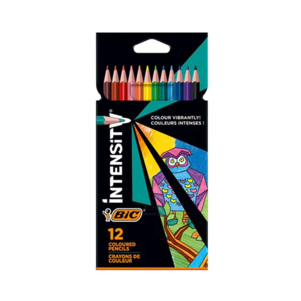CRAYON COULEURS INTENSITY 12 BIC