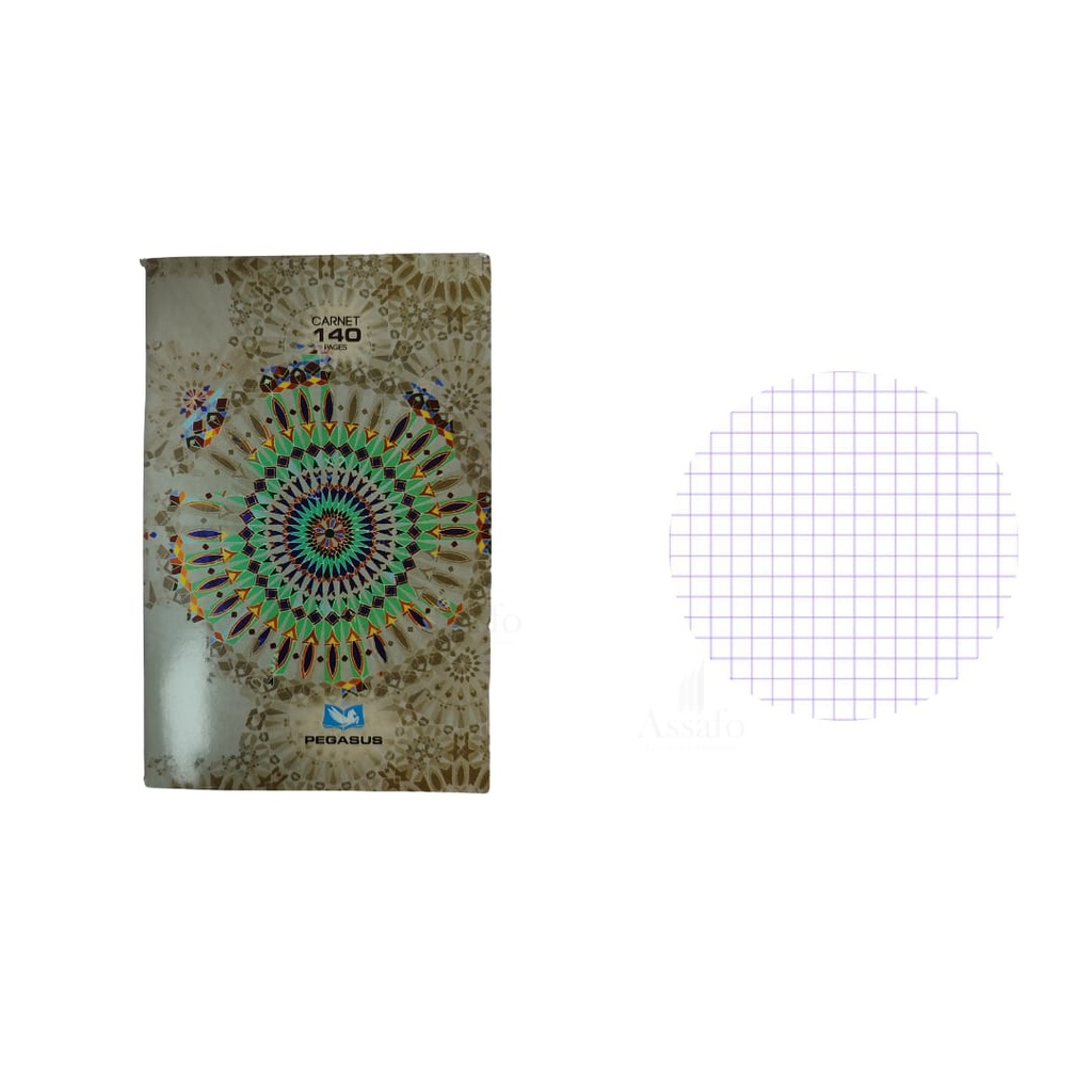 Carnet N° 3 140 page PEGASUS 