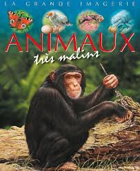 LA GRANDE IMAGERIE: animaux trés malins 