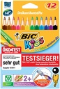 12 Crayon de couleur Gros triangulaire Bic KIDS