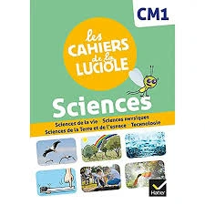 Les Cahier de la luciole 6e