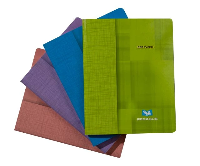 Cahier Broché 384 Pages 60 Grs 21*29,7 5*5 PEGASUS