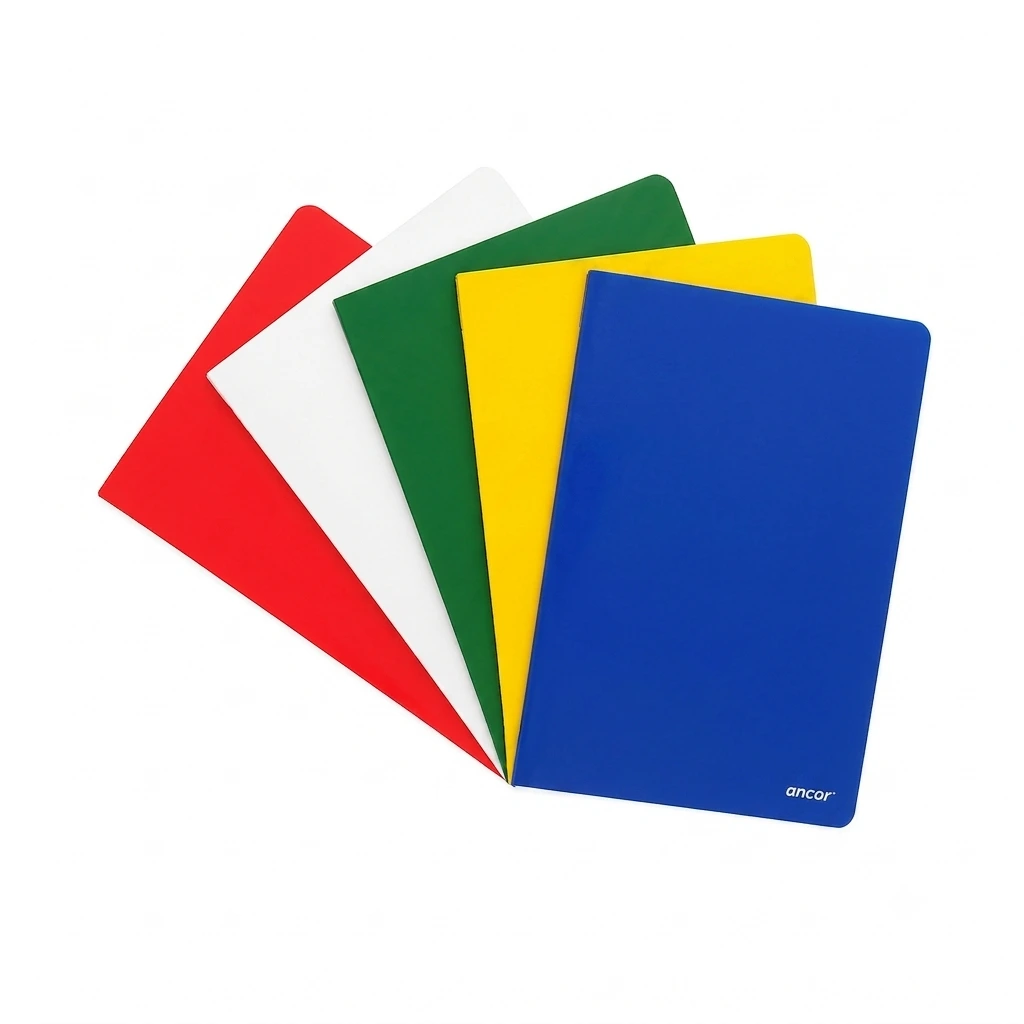 Cahier Piq couv. PP05 192P Sys 80g 17x22 classic