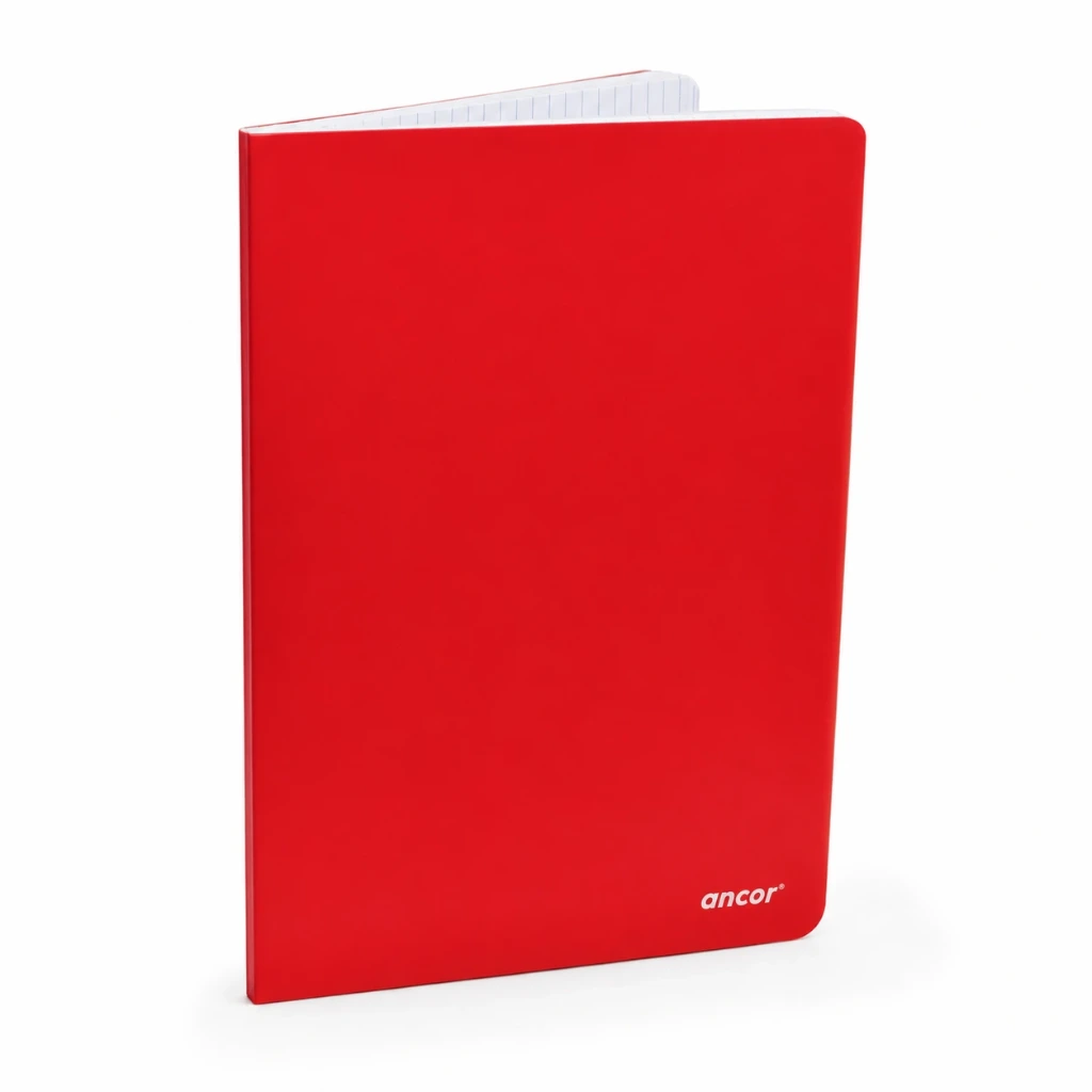 Cahier Piq couv. PP 192P Sys 90g 21x29.7 classique