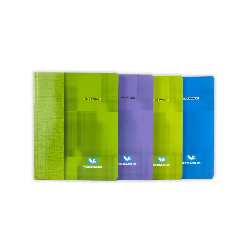 Cahier A5 17x22 384 page GC