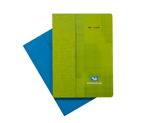 [6111251171303] Cahier 384 Pages  A4  GC PEGASUS