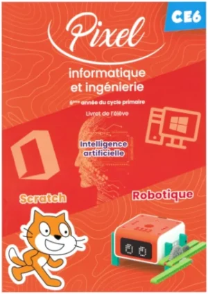 PIXEL INFORMATIQUE ET INGENIERIE CE 6