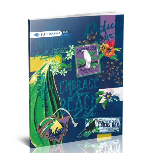 cahier 288 pages 5*5 A4