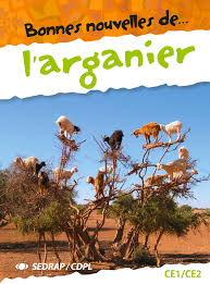 Bonnes nouvelles de l'arganier 