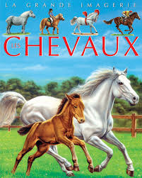 LA GRANDE IMAGERIE:Les chevaux