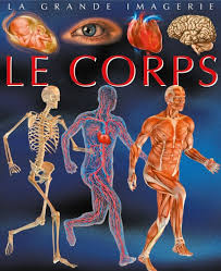 LA GRANDE IMAGERIE: Le corps humain 