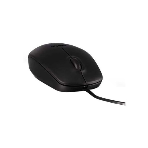 souris avec file 