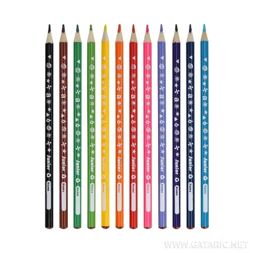 12 crayon de couleur 7cm