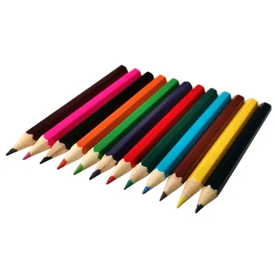 12 CRAYONS DE COULEUR  COURT ECOLO