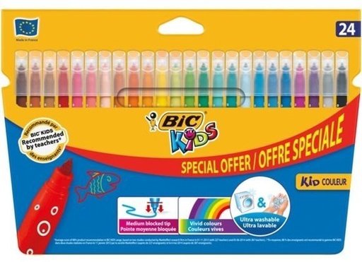 Feutre De 24 couleur Bic