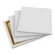 canevas en toile  format 50/60cm ecolo