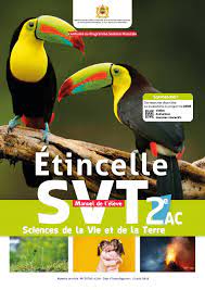 TREMPLIN VERS LE FRANCAIS CAHIER 2 CM2