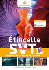 ETINCELLE SVT MANUEL 1 AC 